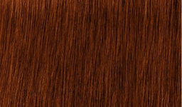 Indola Profession Tartós Ápoló Hajfesték - 6.6+ 60ml főképe
